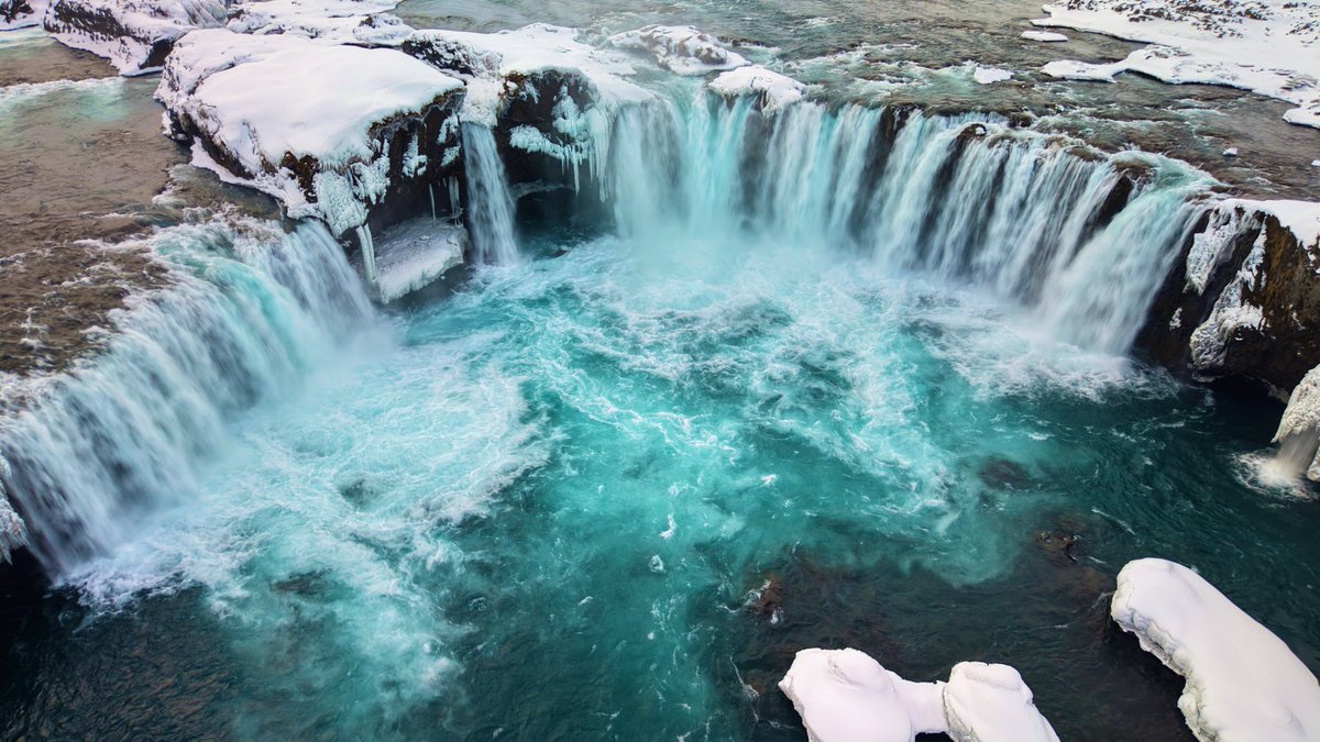 Kari Black tweet media