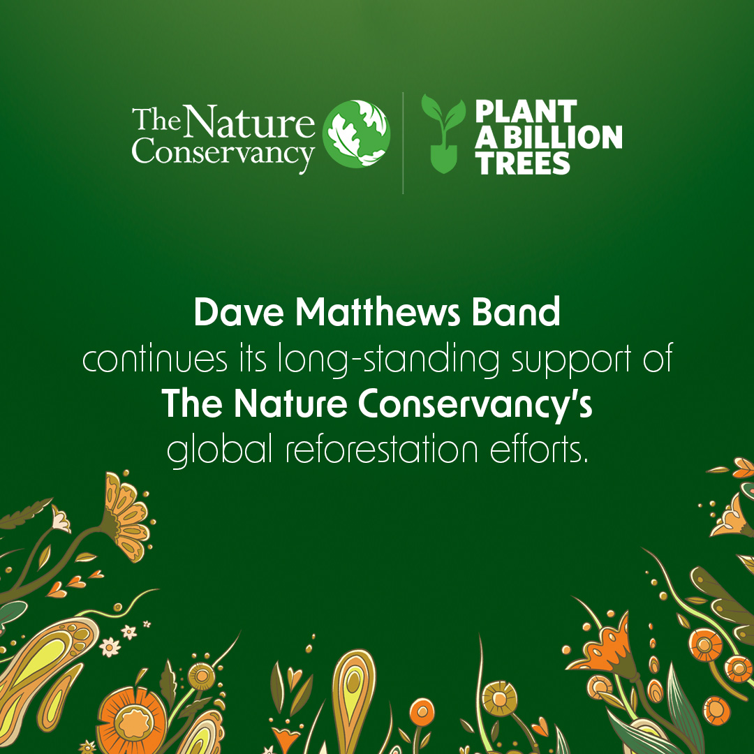 Dave Matthews Band tweet media