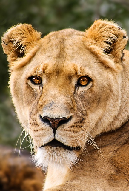 Sam Hames tweet media