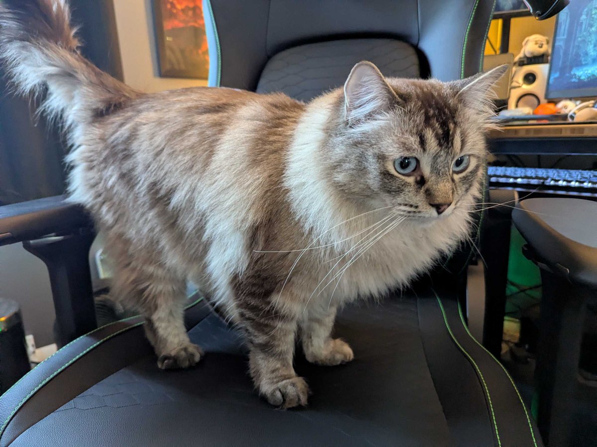 skinnedteen tweet media