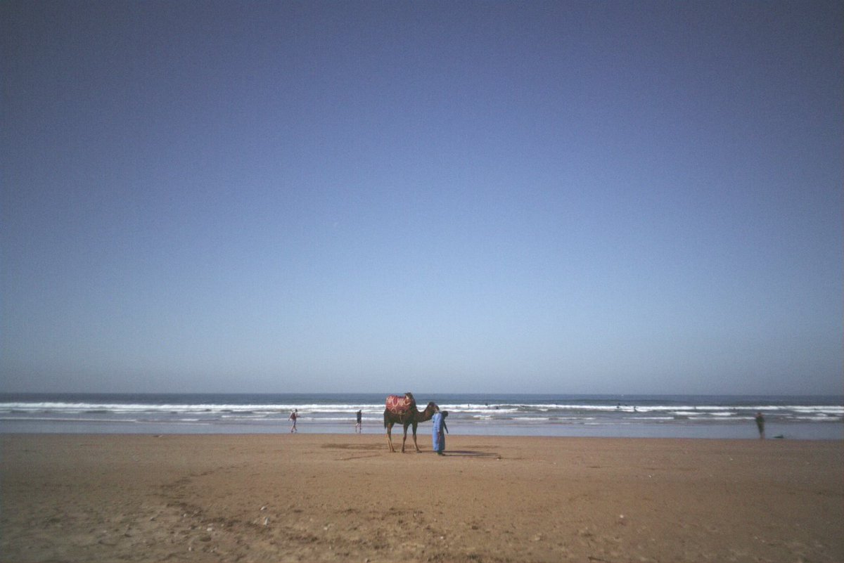 Tatsuki Thomas tweet media