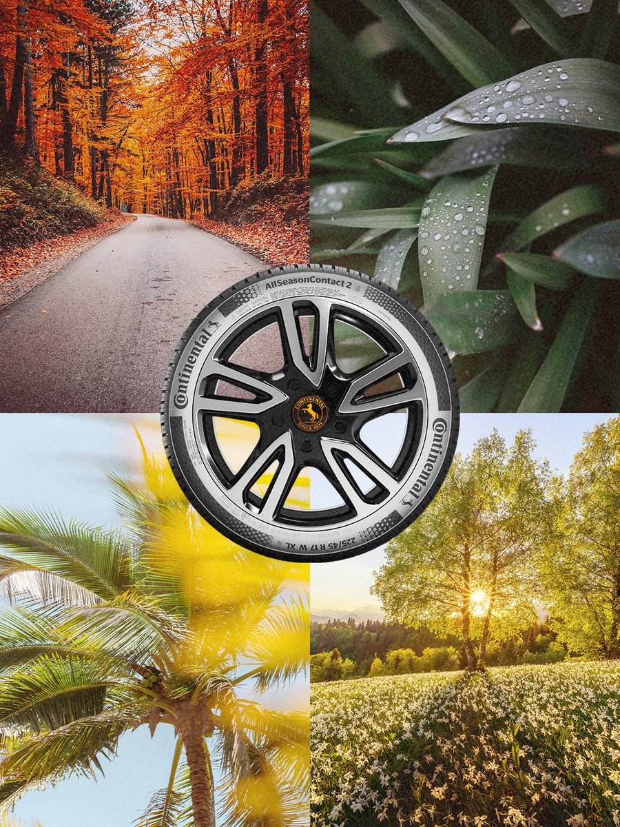 Continental France tweet media