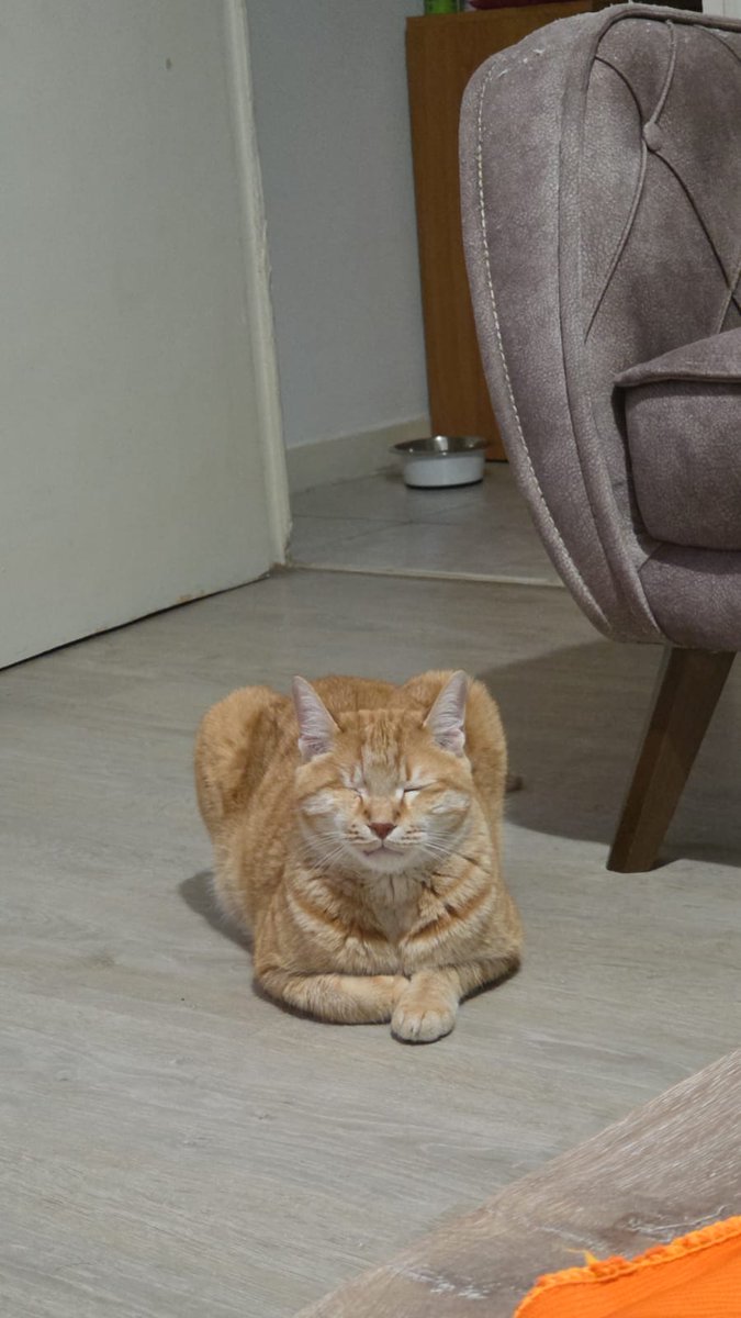 carousel🍀 tweet media