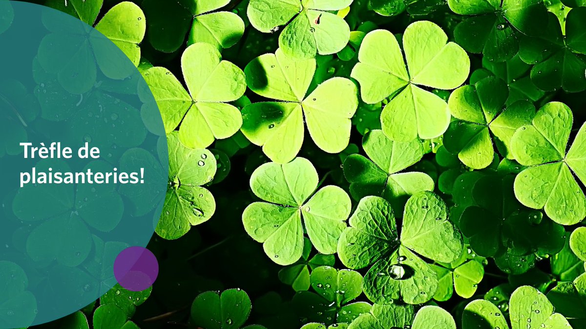 Société d’assurance-dépôts du Canada tweet media