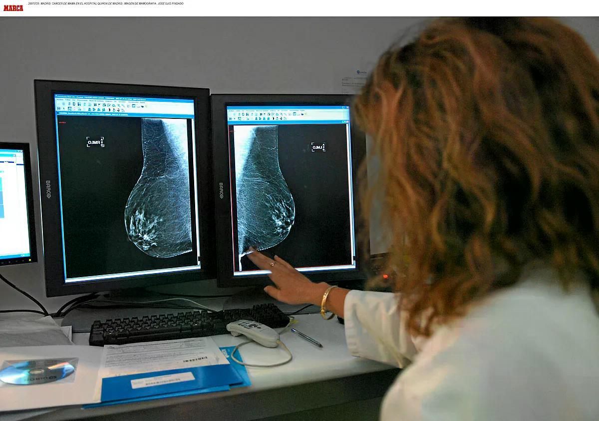 El Mundo Salud tweet media