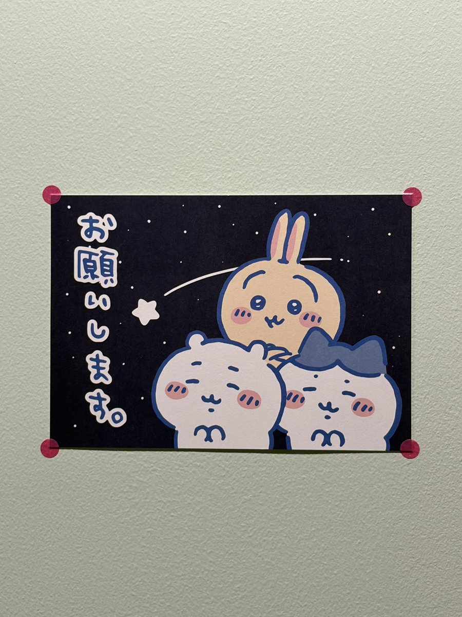 TraitorIsBetty🍒 (@istraitor60447) on Twitter photo 