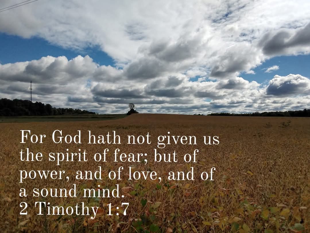 Tracy Killinger ๐บ๐ธ tweet media