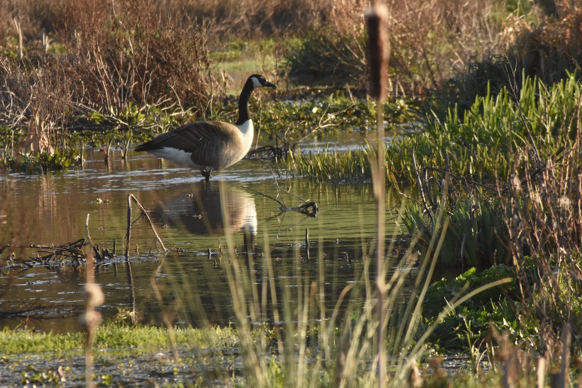 Harshith Parthiban tweet media