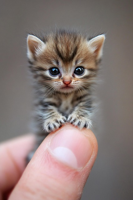 Dawn Morris tweet media