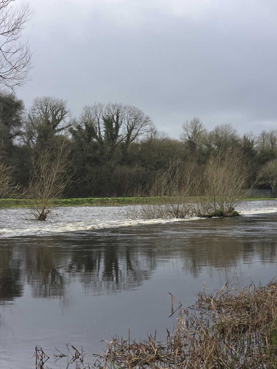 respecting nature tweet media