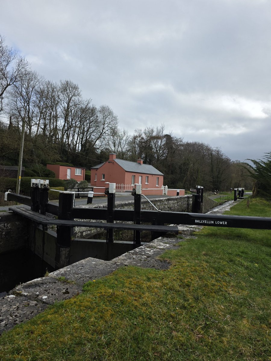 respecting nature tweet media