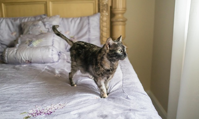 Tonya Clark tweet media