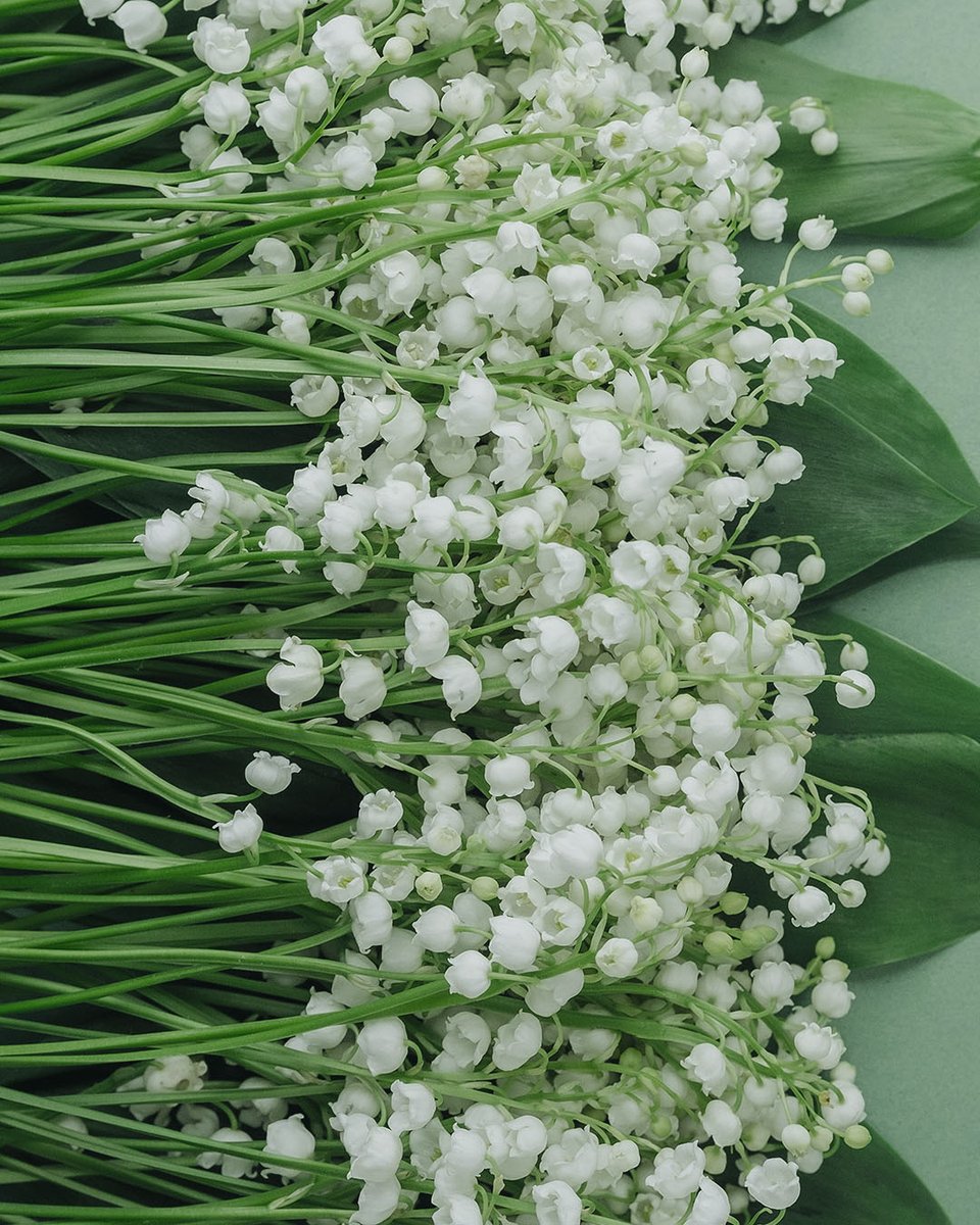 Ann Taylor tweet media