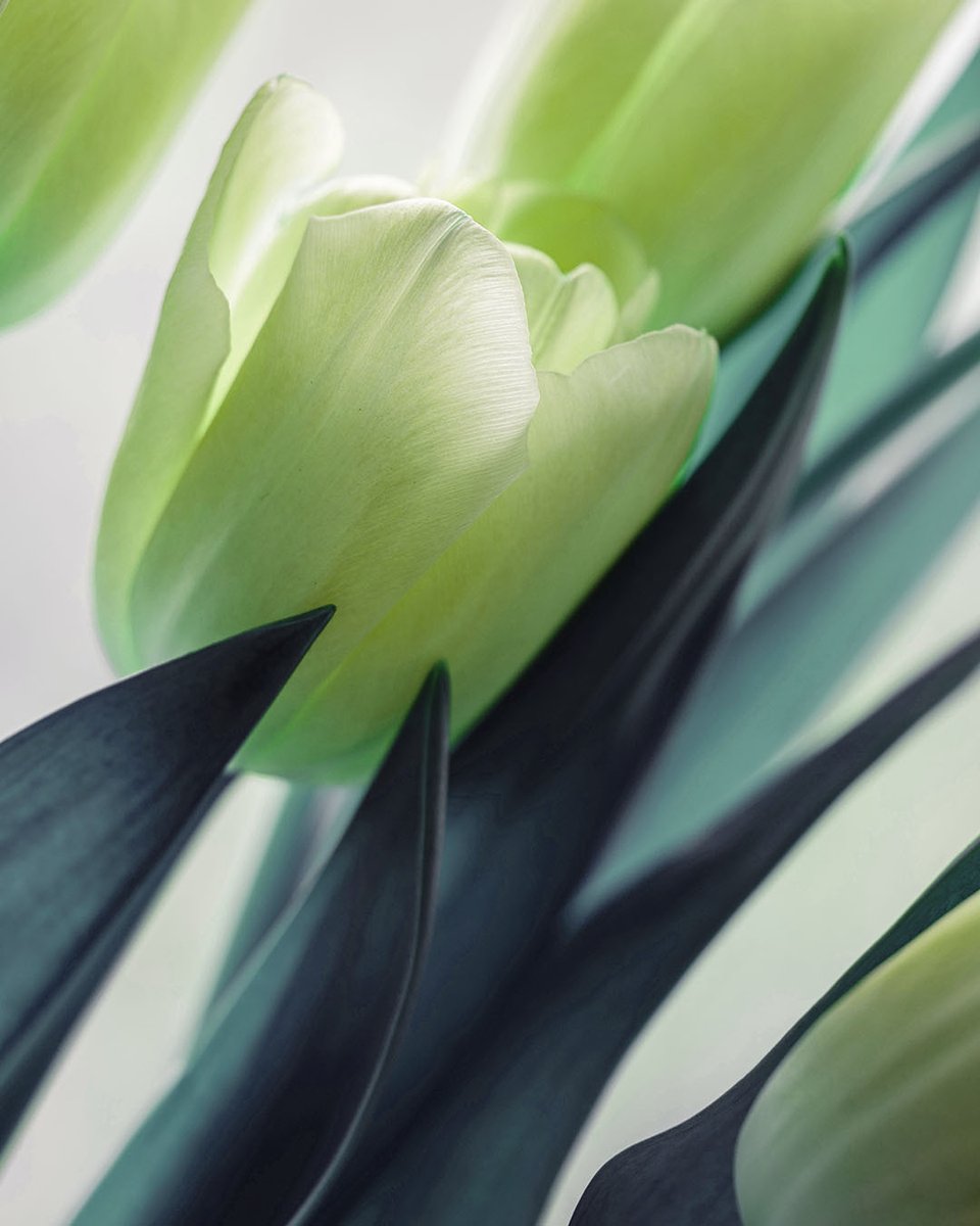 Ann Taylor tweet media