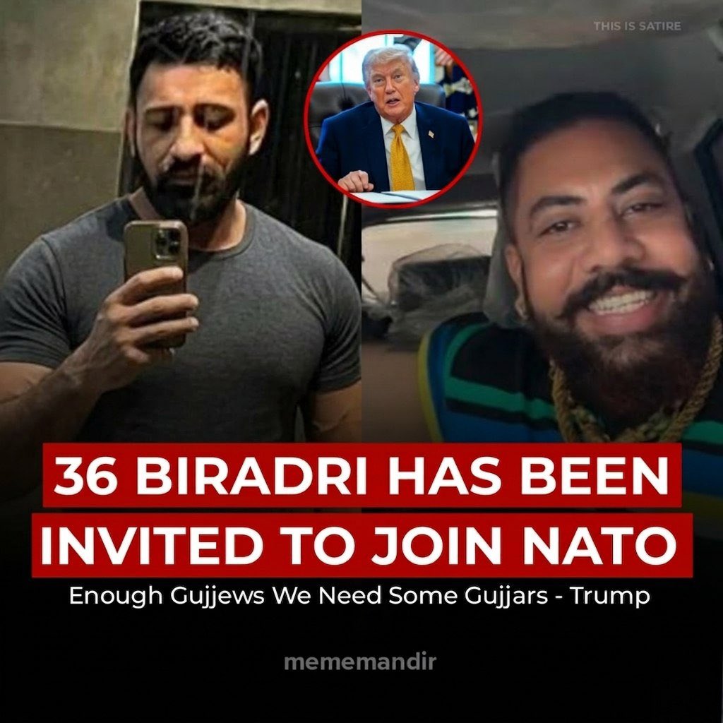 mememandir tweet media