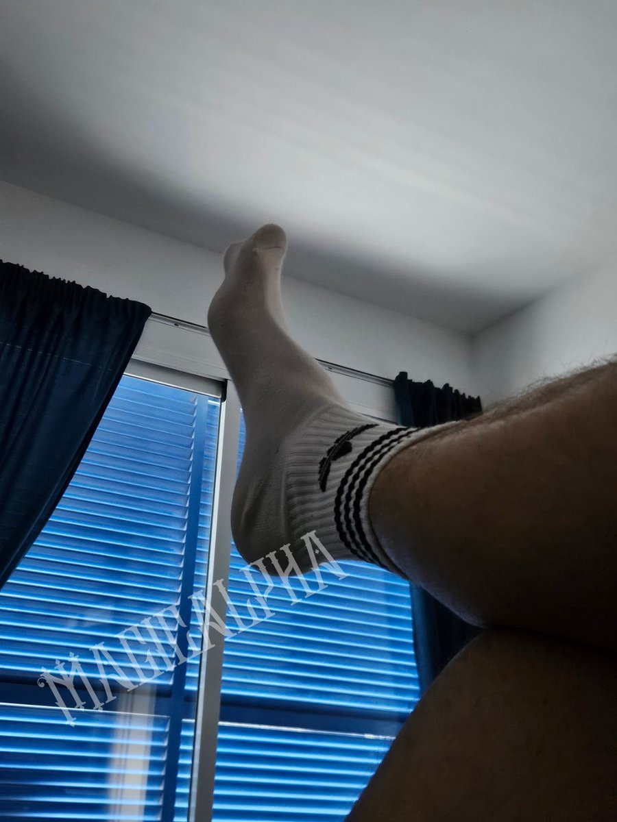 MagicAlpha tweet media