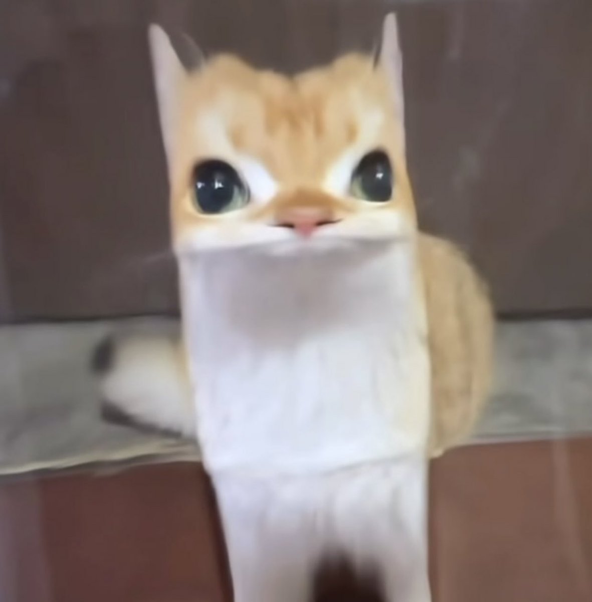 Katie 🏳️‍🌈 K-ralho tweet media