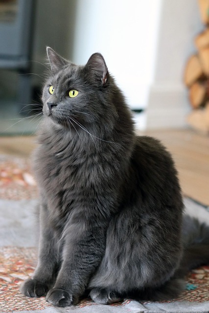 Katie Dunn tweet media