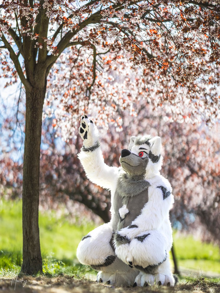 ❄️Yukito ❄️ tweet media