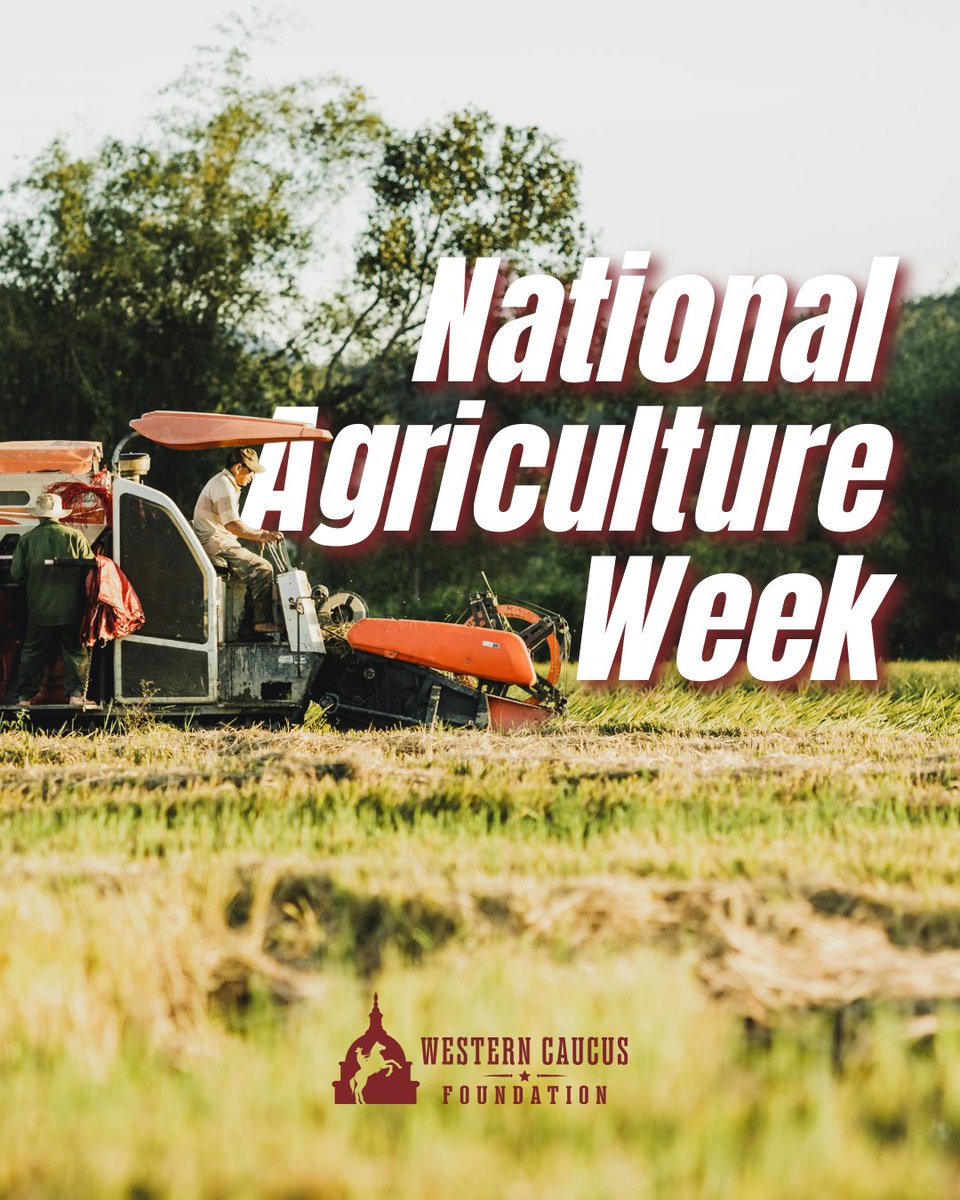 Western Caucus Foundation tweet media