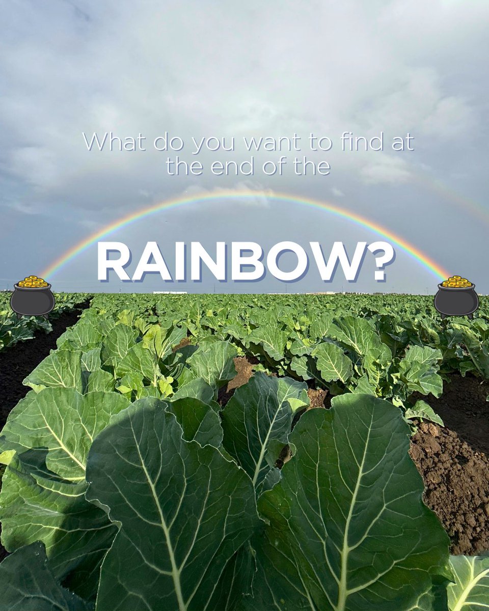 Tanimura&Antle tweet media