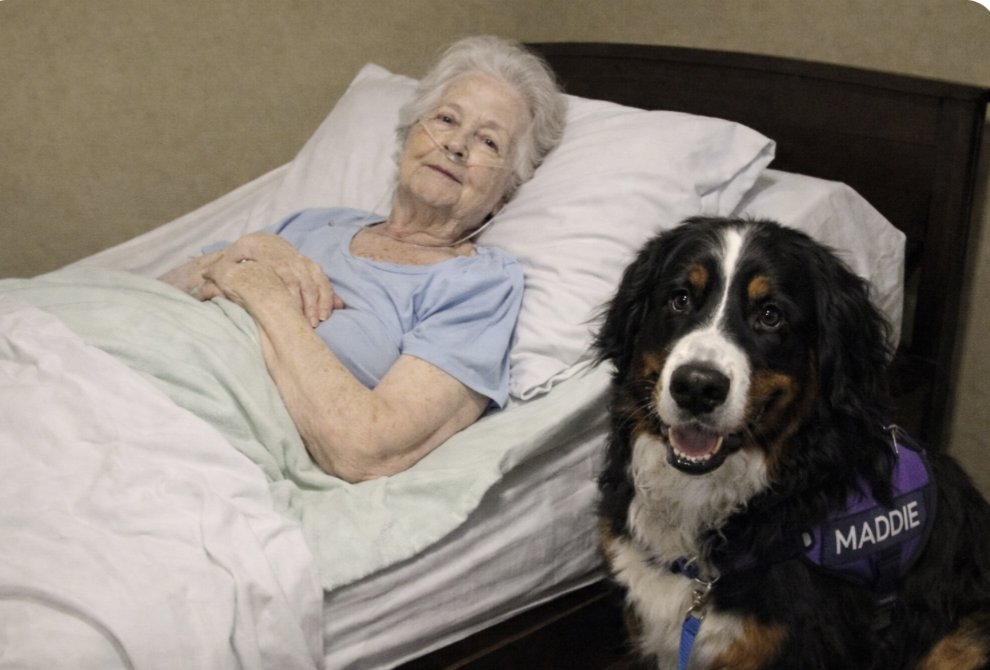 Lisa Bain Ministries tweet media