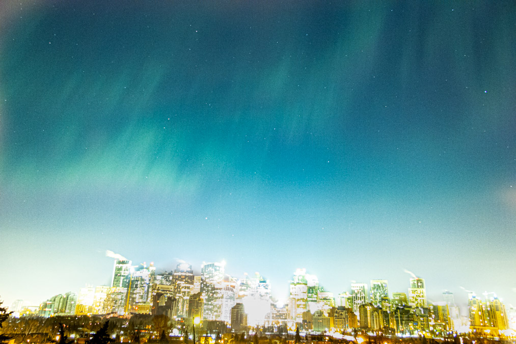 Harlan Thomas tweet media