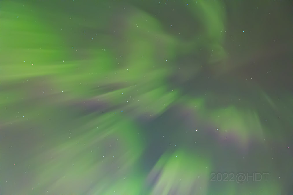 Harlan Thomas tweet media