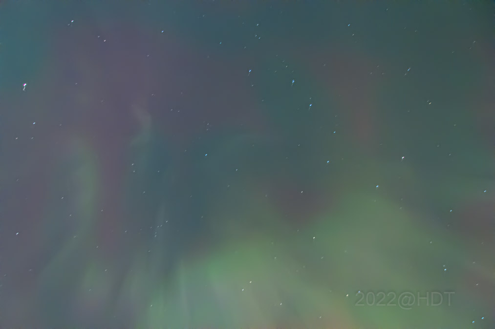 Harlan Thomas tweet media