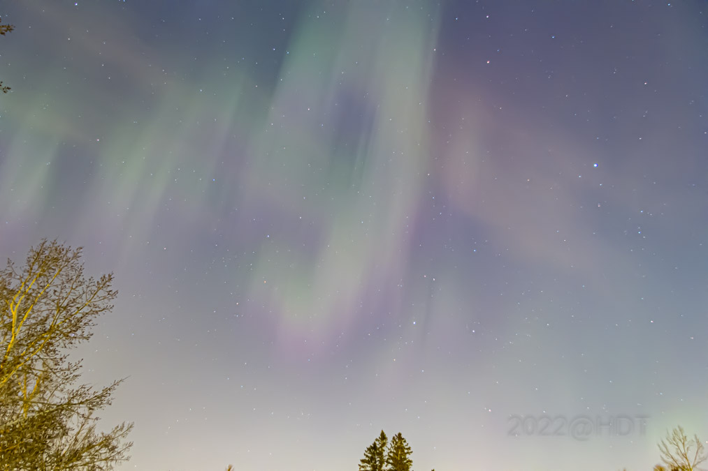 Harlan Thomas tweet media