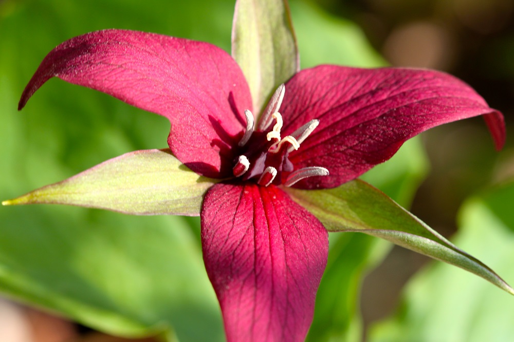 Ontario Parks tweet media