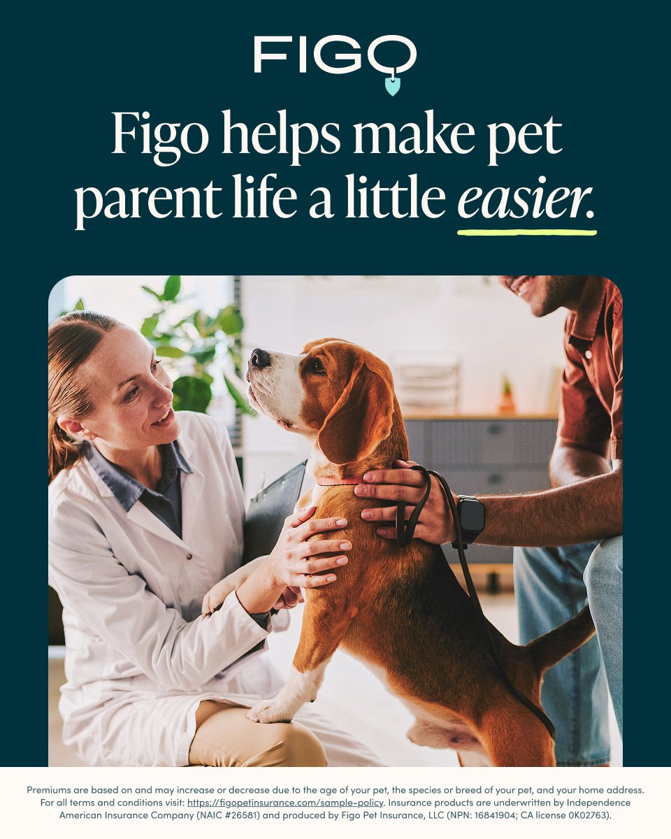 Figo Pet Insurance tweet media