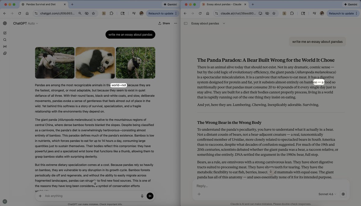 Sarah Chieng tweet media