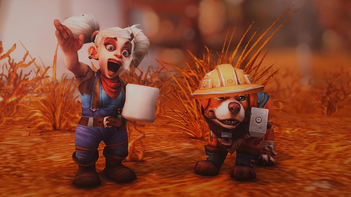 Beans the Gnome Paladin 💡 ⚙️ tweet media