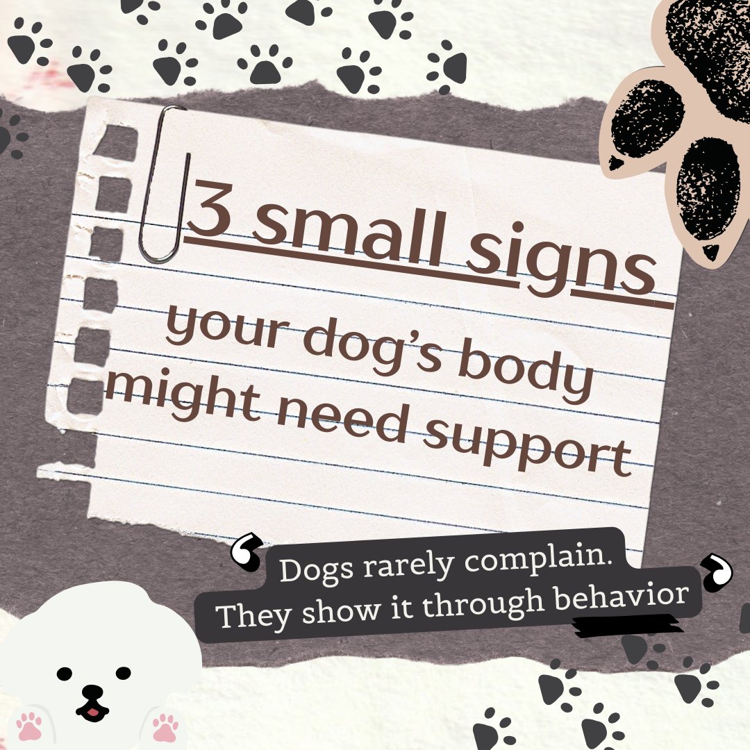 YourpetsPOV's tweet photo. Dogs don’t tell you what’s wrong. They show you in small ways first.

The question is… are we paying attention early enough? 👀💛

Follow for more things every pet parent should notice! 

#dogcare #dogs #health #dogwellness #viraldogs https://t.co/dPYVYjJvXe
