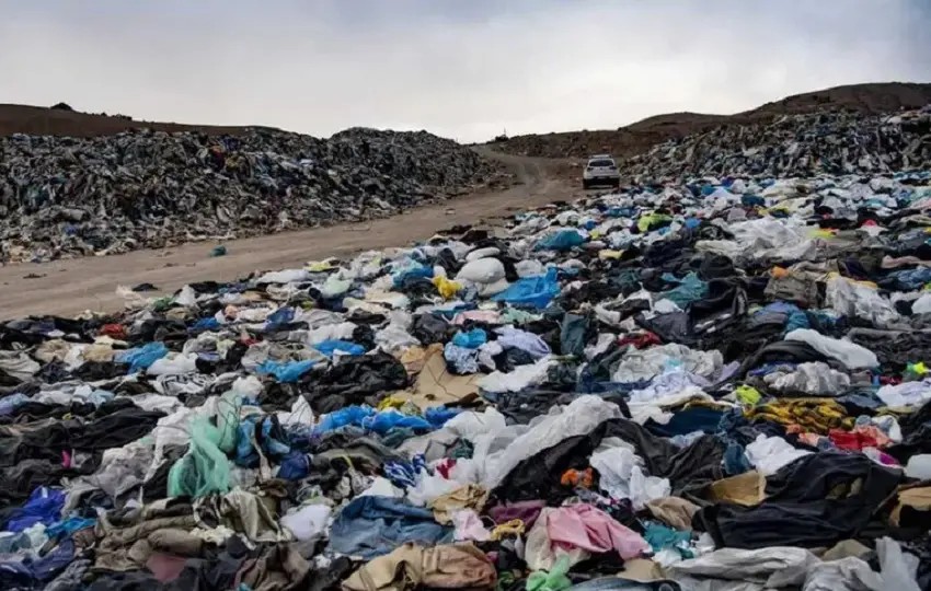 Estado de Alerta tweet media