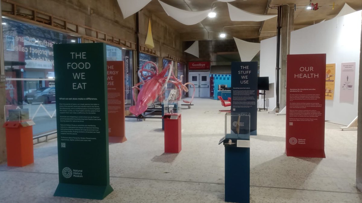 First Light Festival tweet media