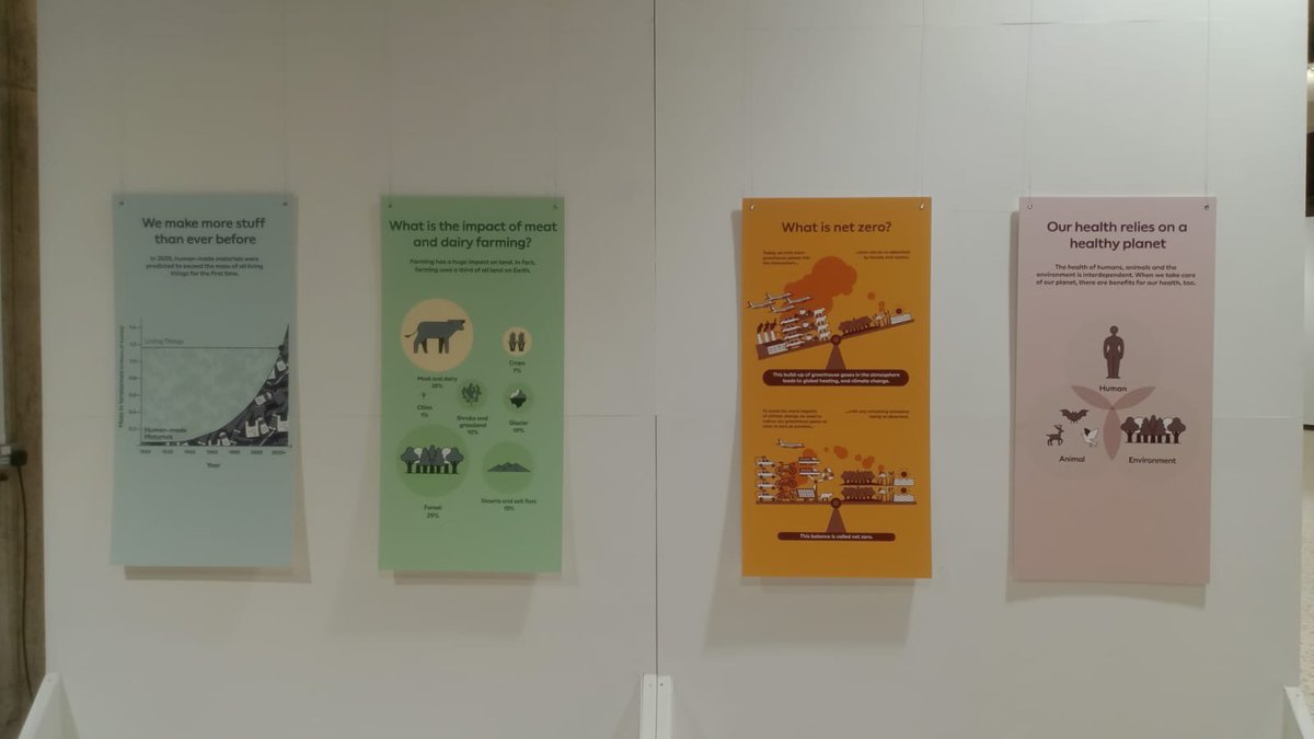 First Light Festival tweet media