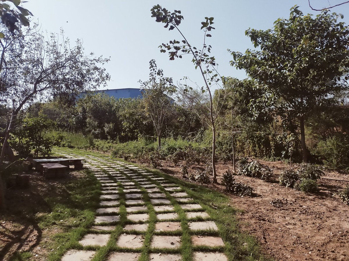 Dr. Ankit 🇮🇳 tweet media