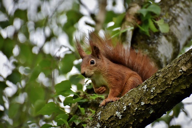 Kerri Peterson tweet media