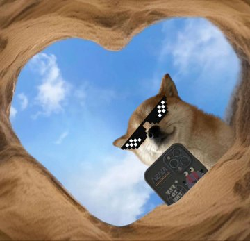 Kasier_Burn 🤳🐶 tweet media