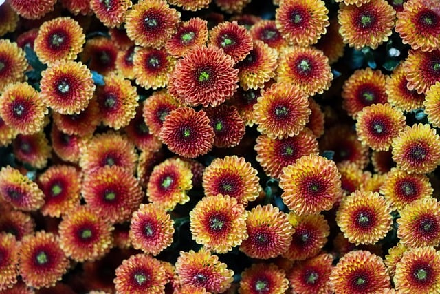 Melody Briggs tweet media