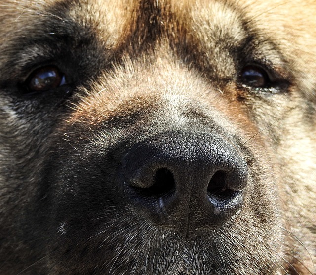 Amber Smith tweet media