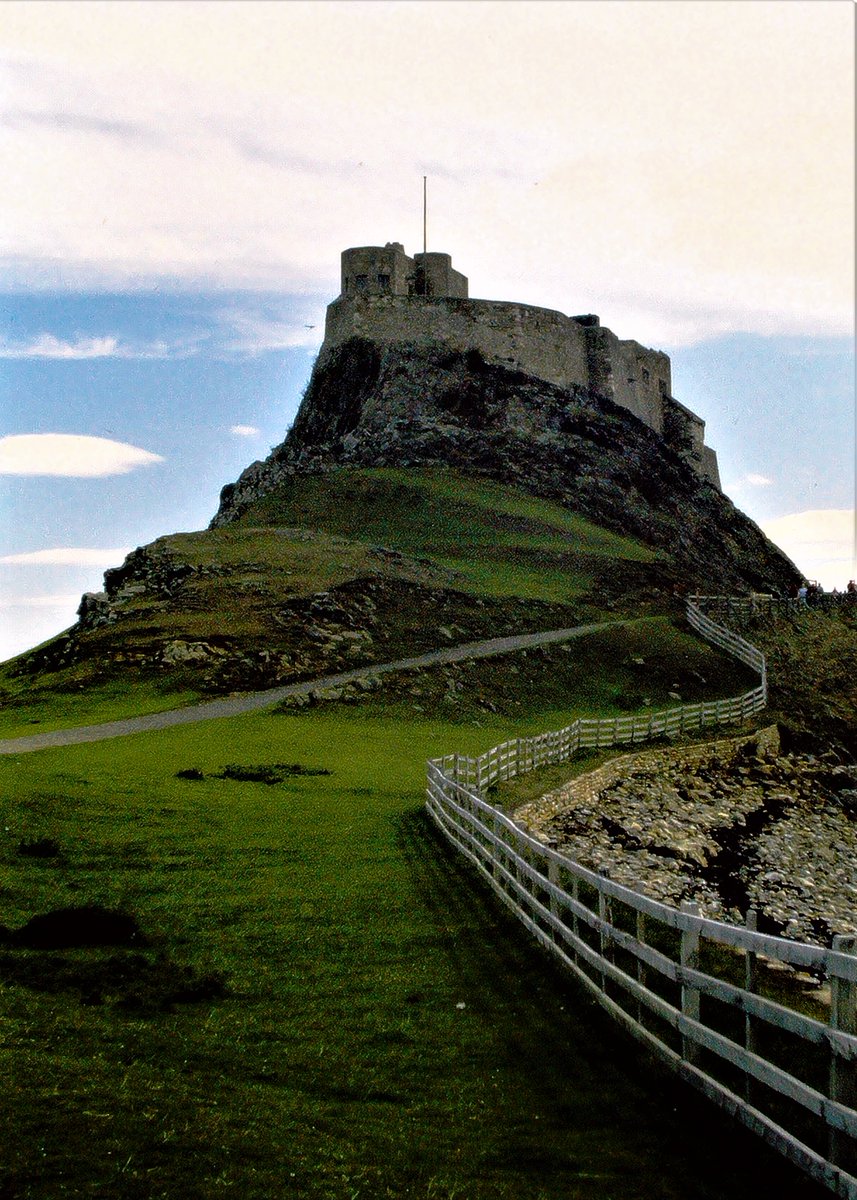 Rattlesnake Matty tweet media