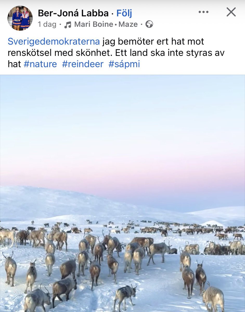 Pontus Persson tweet media