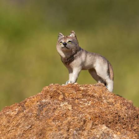 Taşındık (@ozgurozturknet) on Twitter photo 