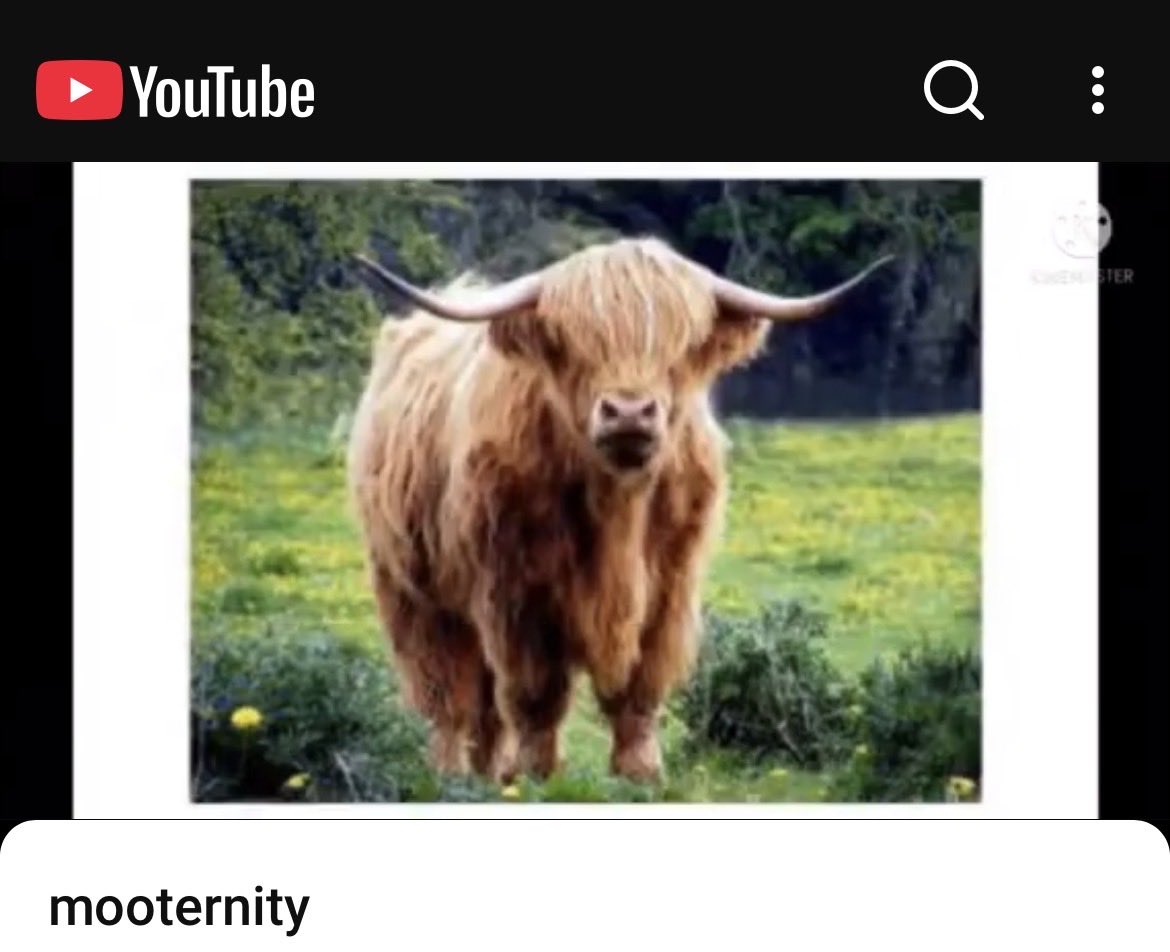 Caithness Health Action Team tweet media