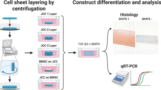 Extracellular Matrix News tweet media