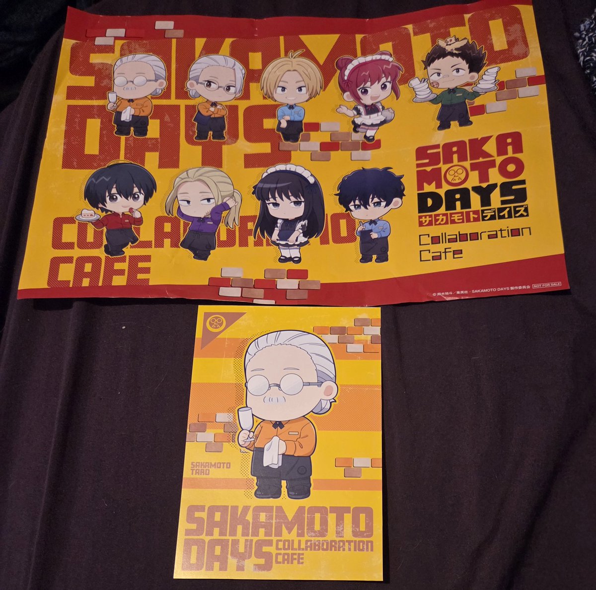 Resident Ellyn tweet media