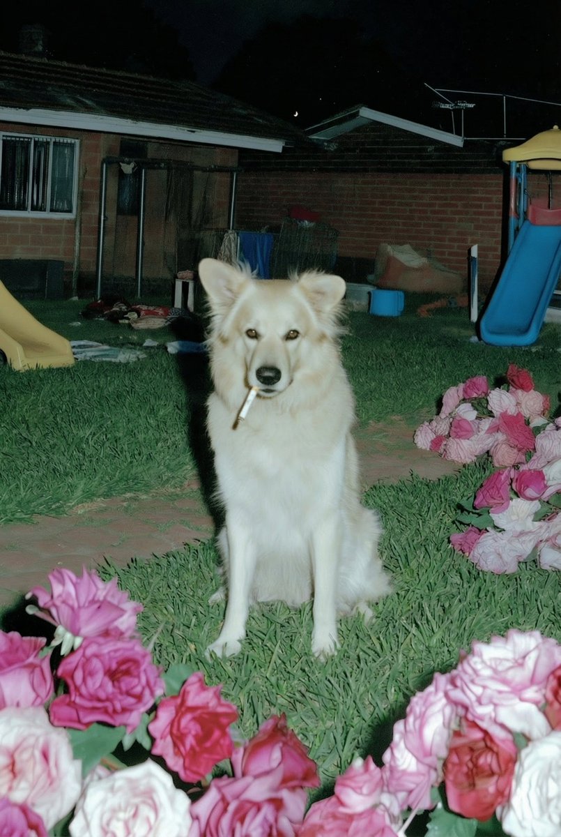 Finn McKenty tweet media